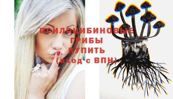 меф Арсеньев