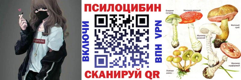 Псилоцибиновые грибы Psilocybe  Купить  Лабинск 